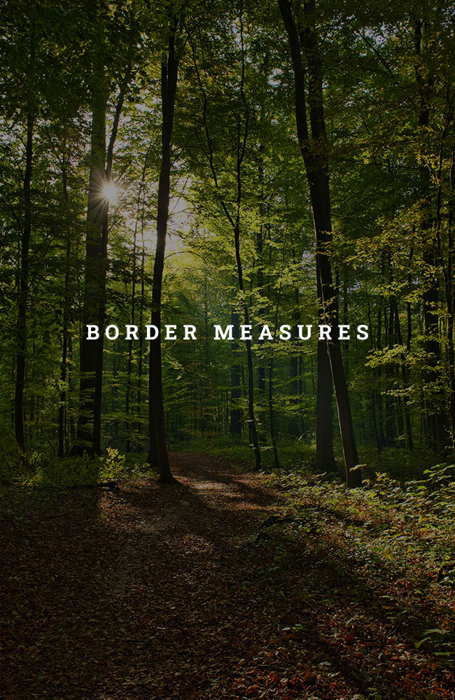 BORDER-MEASURES