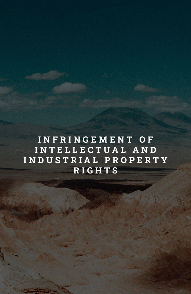 INFRINGEMENT-OF-INTELLECTUAL-AND-INDUSTRIAL-PROPERTY-RIGHTS