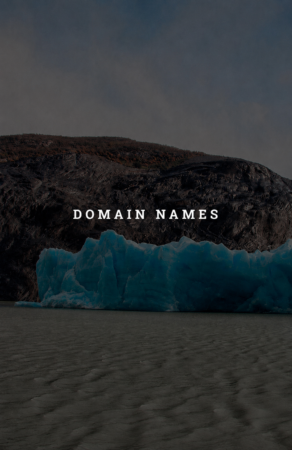 domain names
